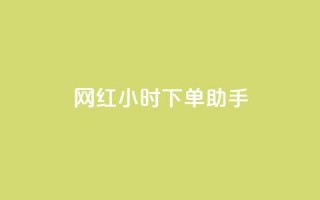 网红24小时下单助手,网红商城24小时自助 - 快手在线24小时业务 - 闲鱼低价自助下单24小时