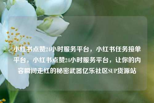 小红书点赞24小时服务平台，小红书任务接单平台	，小红书点赞24小时服务平台，让你的内容瞬间走红的秘密武器亿乐社区SUP货源站  第1张