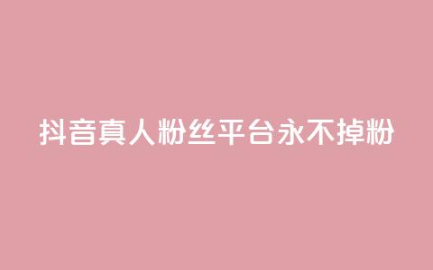 抖音真人粉丝平台 永不掉粉 - 增加社交影响力，稳定粉丝数量营销平台~  第1张