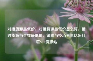 对接货源最低价，对接货源最低价怎么算，接对货源与寻找最低价，策略与技巧分享亿乐社区SUP货源站