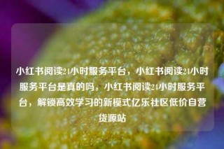 小红书阅读24小时服务平台，小红书阅读24小时服务平台是真的吗，小红书阅读24小时服务平台，解锁高效学习的新模式亿乐社区低价自营货源站