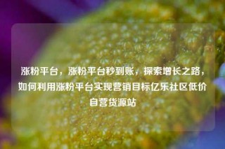 涨粉平台，涨粉平台秒到账，探索增长之路，如何利用涨粉平台实现营销目标亿乐社区低价自营货源站