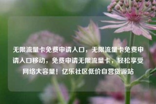 无限流量卡免费申请入口，无限流量卡免费申请入口移动，免费申请无限流量卡，轻松享受网络大容量！亿乐社区低价自营货源站