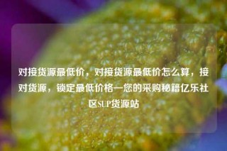 对接货源最低价，对接货源最低价怎么算，接对货源，锁定最低价格—您的采购秘籍亿乐社区SUP货源站