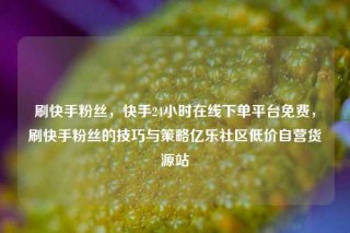 刷快手粉丝，快手24小时在线下单平台免费，刷快手粉丝的技巧与策略亿乐社区低价自营货源站