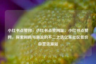 小红书点赞网，小红书点赞网址，小红书点赞网，探索时尚与潮流的不二之选亿乐社区低价自营货源站
