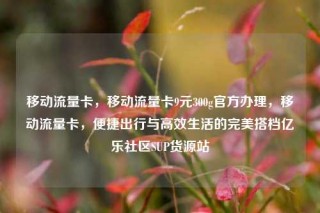 移动流量卡，移动流量卡9元300g官方办理，移动流量卡，便捷出行与高效生活的完美搭档亿乐社区SUP货源站