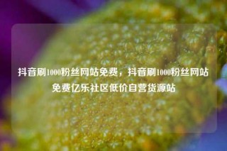 抖音刷1000粉丝网站免费，抖音刷1000粉丝网站免费亿乐社区低价自营货源站
