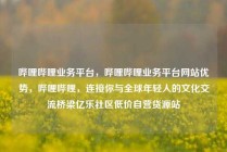 哔哩哔哩业务平台，哔哩哔哩业务平台网站优势，哔哩哔哩，连接你与全球年轻人的文化交流桥梁亿乐社区低价自营货源站