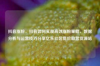 抖音涨粉，抖音如何实现高效涨粉策略，数据分析与运营技巧分享亿乐社区低价自营货源站