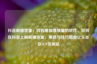 抖音刷播放量，抖音增加播放量的软件，如何在抖音上刷高播放量，策略与技巧指南亿乐社区SUP货源站