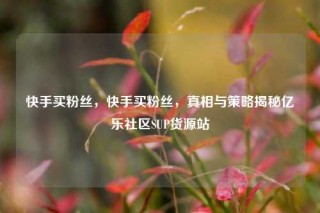 快手买粉丝，快手买粉丝，真相与策略揭秘亿乐社区SUP货源站