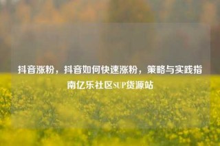 抖音涨粉，抖音如何快速涨粉，策略与实践指南亿乐社区SUP货源站