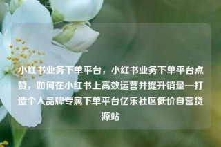 小红书业务下单平台，小红书业务下单平台点赞，如何在小红书上高效运营并提升销量—打造个人品牌专属下单平台亿乐社区低价自营货源站