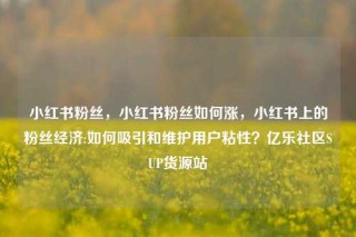 小红书粉丝，小红书粉丝如何涨，小红书上的粉丝经济:如何吸引和维护用户粘性？亿乐社区SUP货源站