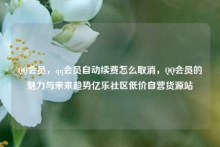 QQ会员，qq会员自动续费怎么取消，QQ会员的魅力与未来趋势亿乐社区低价自营货源站