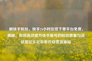 刷快手粉丝，快手24小时在线下单平台免费，揭秘，如何高效提升快手账号的粉丝数量与活跃度亿乐社区低价自营货源站