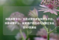 抖音点赞平台，抖音点赞的平台叫什么平台，抖音点赞平台，探索用户的互动与反馈亿乐社区SUP货源站