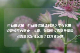 抖音播放量，抖音播放量达到多少才有收益，短视频平台新宠—抖音，如何通过高播放量吸引流量亿乐社区低价自营货源站