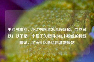 小红书粉丝，小红书粉丝怎么移除掉，当然可以！以下是一个基于关键词小红书粉丝的标题建议，亿乐社区低价自营货源站