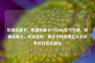 联通流量卡，联通流量卡19元200g官方办理，联通流量卡，灵活选择，满足不同需求亿乐社区低价自营货源站