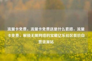 流量卡免费，流量卡免费送是什么套路，流量卡免费，解锁无限网络的宝藏亿乐社区低价自营货源站