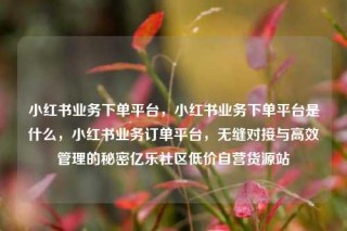 小红书业务下单平台，小红书业务下单平台是什么，小红书业务订单平台，无缝对接与高效管理的秘密亿乐社区低价自营货源站