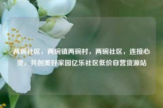 两碗社区，两碗镇两碗村，两碗社区，连接心灵，共创美好家园亿乐社区低价自营货源站