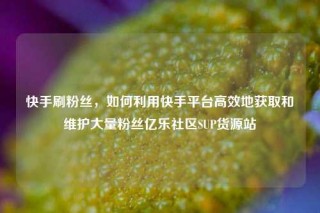 快手刷粉丝，如何利用快手平台高效地获取和维护大量粉丝亿乐社区SUP货源站