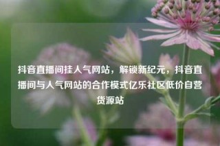 抖音直播间挂人气网站，解锁新纪元，抖音直播间与人气网站的合作模式亿乐社区低价自营货源站