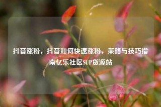 抖音涨粉，抖音如何快速涨粉，策略与技巧指南亿乐社区SUP货源站