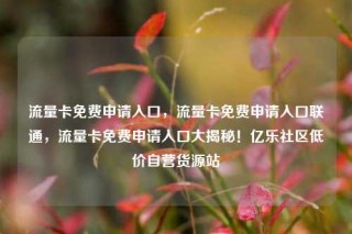 流量卡免费申请入口，流量卡免费申请入口联通，流量卡免费申请入口大揭秘！亿乐社区低价自营货源站