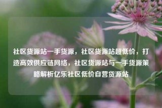 社区货源站一手货源，社区货源站超低价，打造高效供应链网络，社区货源站与一手货源策略解析亿乐社区低价自营货源站