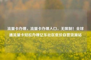 流量卡办理，流量卡办理入口，无限制！全球通流量卡轻松办理亿乐社区低价自营货源站