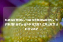 抖音涨流量网站，抖音涨流量网站有哪些，如何利用抖音平台提升网站流量？亿乐社区低价自营货源站