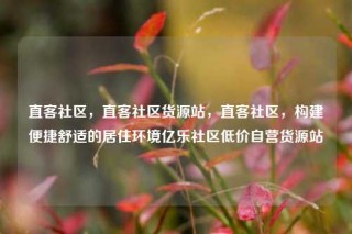 直客社区，直客社区货源站，直客社区，构建便捷舒适的居住环境亿乐社区低价自营货源站