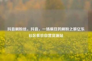 抖音刷粉丝，抖音，一场疯狂的刷粉之旅亿乐社区低价自营货源站