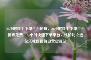 24小时快手下单平台便宜，24小时快手下单平台便宜免费，24小时快速下单平台，性价比之选亿乐社区低价自营货源站