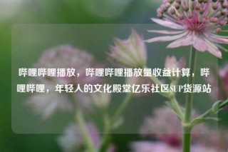 哔哩哔哩播放，哔哩哔哩播放量收益计算，哔哩哔哩，年轻人的文化殿堂亿乐社区SUP货源站