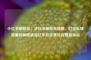 小红书刷粉丝，小红书刷粉丝攻略，打造私域流量的秘密武器亿乐社区低价自营货源站