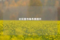 社区图书角布置图片
