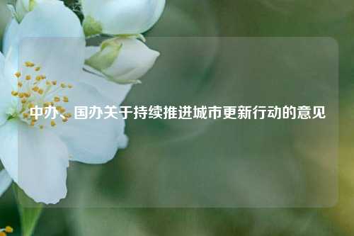 中办、国办关于持续推进城市更新行动的意见  第1张