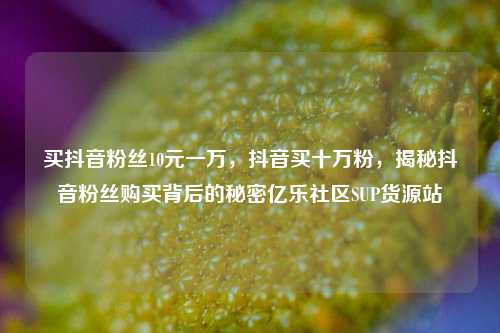 买抖音粉丝10元一万	，抖音买十万粉，揭秘抖音粉丝购买背后的秘密亿乐社区SUP货源站  第1张