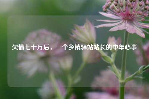 欠债七十万后，一个乡镇驿站站长的中年心事  第1张
