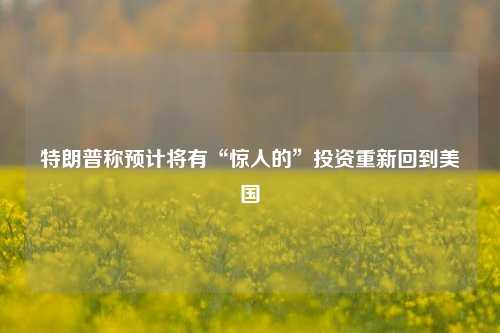 特朗普称预计将有“惊人的	”投资重新回到美国  第1张