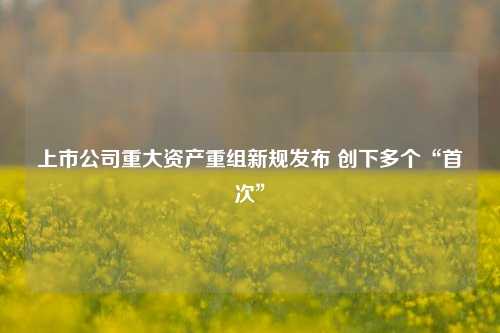 上市公司重大资产重组新规发布 创下多个“首次”  第1张