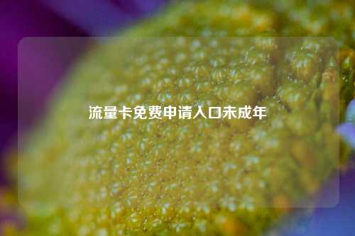 流量卡免费申请入口未成年  第1张