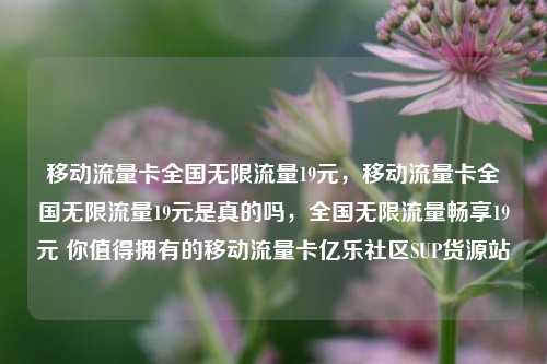 移动流量卡全国无限流量19元	，移动流量卡全国无限流量19元是真的吗，全国无限流量畅享19元 你值得拥有的移动流量卡亿乐社区SUP货源站  第1张