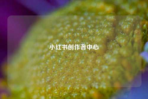 小红书创作者中心  第1张