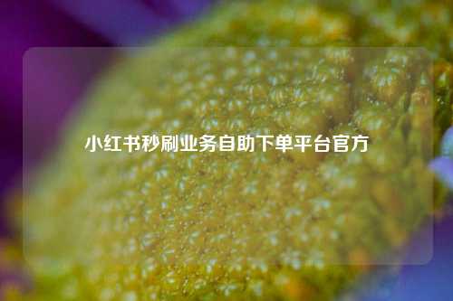 小红书秒刷业务自助下单平台官方  第1张